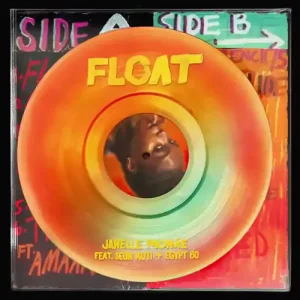 Float by Janelle Monáe feat. Seun Kuti & Egypt 80