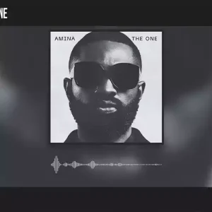 The One By Ric Hassani