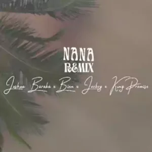 nana_remix_by_joshua_baraka_ft_joeboy_king_promise_bien