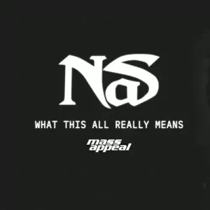What This All Really Means by Nas