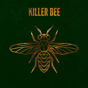 Killer Bee by ben kweller