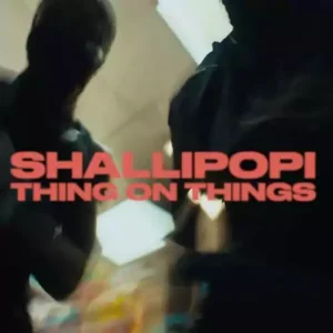 Shallipopi - Things On Things