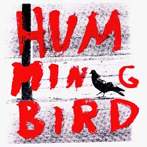 Hummingbird by j ember