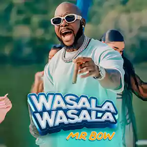 Wasala Wasala by Mr. Bow cover