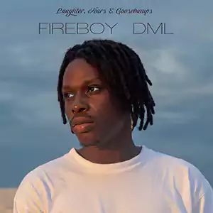 Energy by Fireboy DML cover