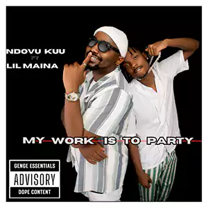 My Work Is To Party by Ndovu Kuu & Lilmaina cover