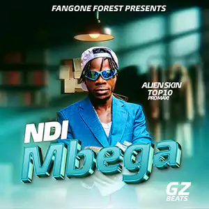 Ndi Mbega by Alien Skin Official cover